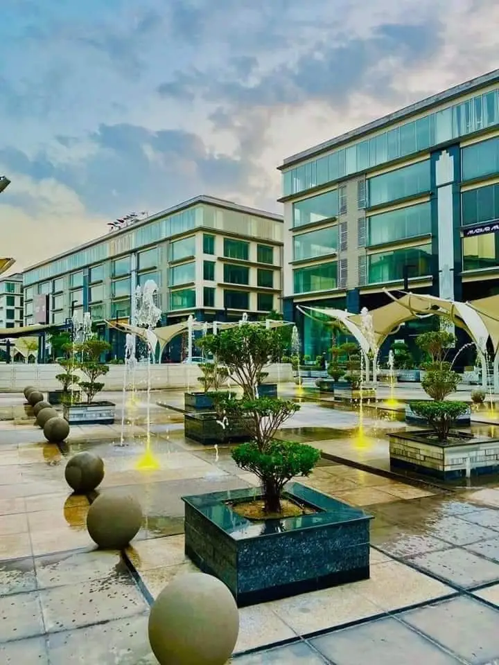 FB_IMG_1670551360285