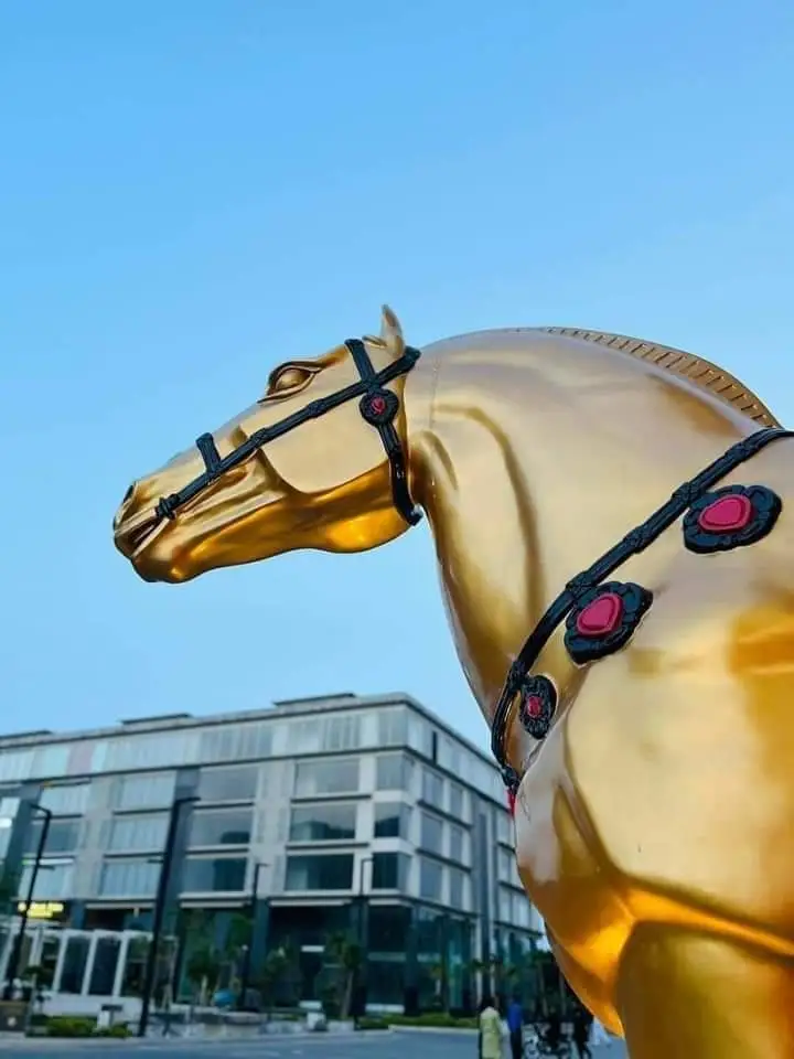 FB_IMG_1670551365353